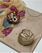 Fancy Collection 🎉