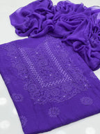 2PC Chiffon Dress – Shadow Sheesha & Chikankari Work